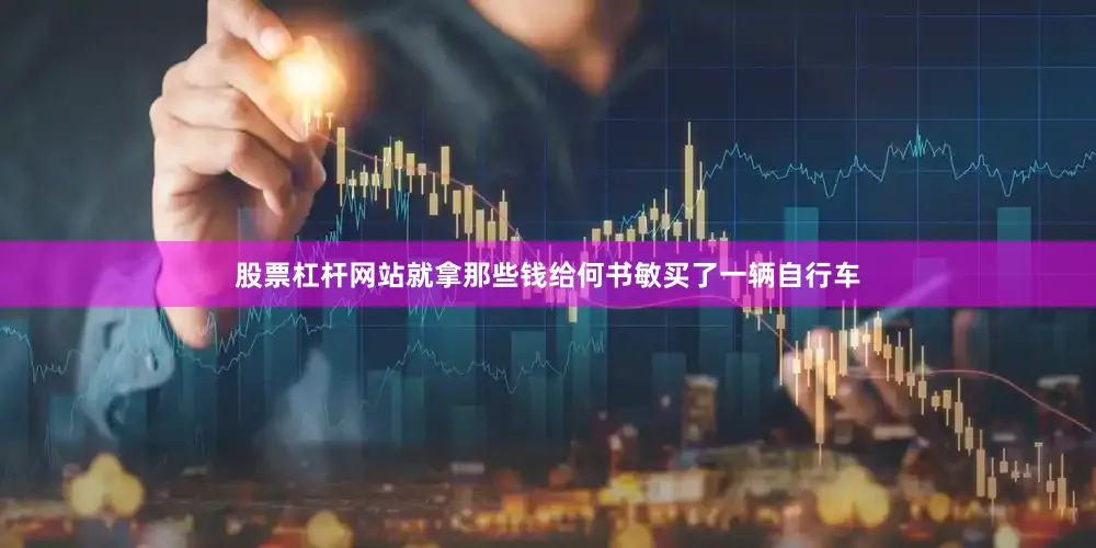 股票杠杆网站就拿那些钱给何书敏买了一辆自行车