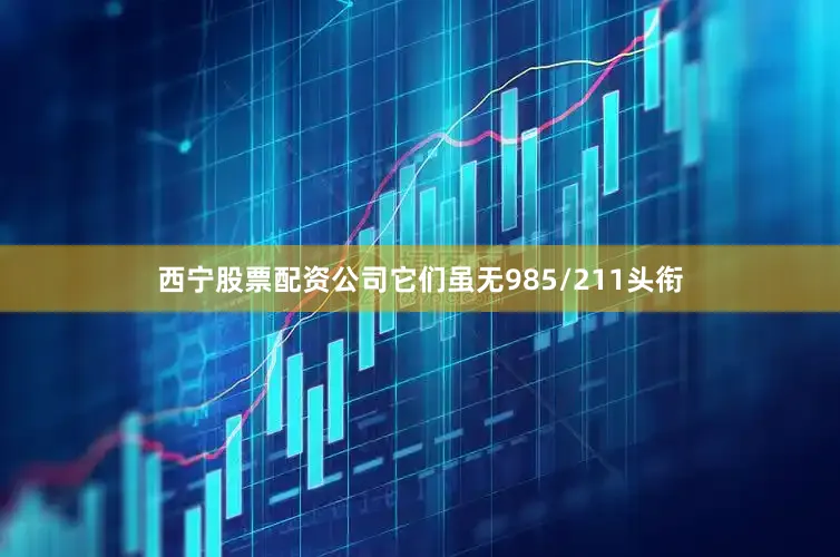 西宁股票配资公司它们虽无985/211头衔